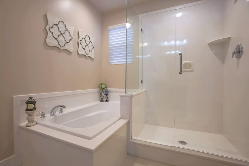 Modern Glass Enclosure Tub