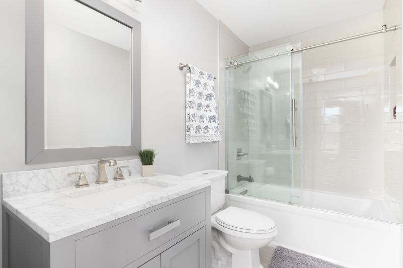 Top Tub To Shower Conversion Companies in San Ramon, CA